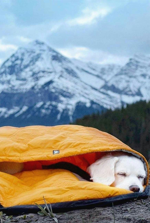 Tecido para saco de dormir